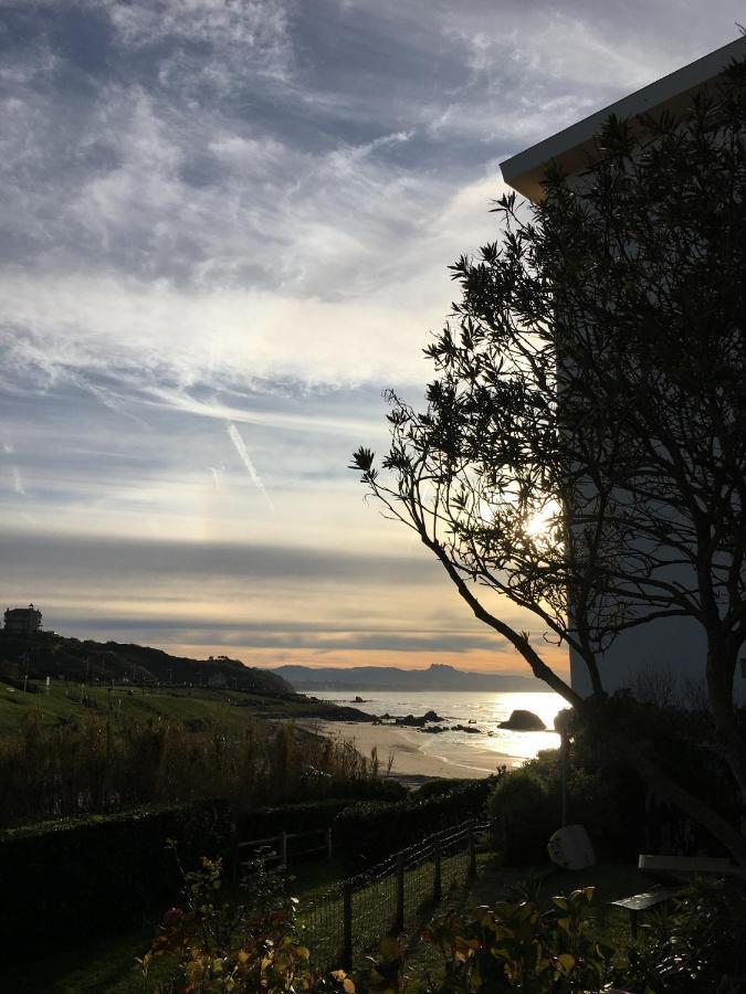 Petit studio terrasse rez de jardin piscine sur l’océan Appartamento Biarritz Esterno foto